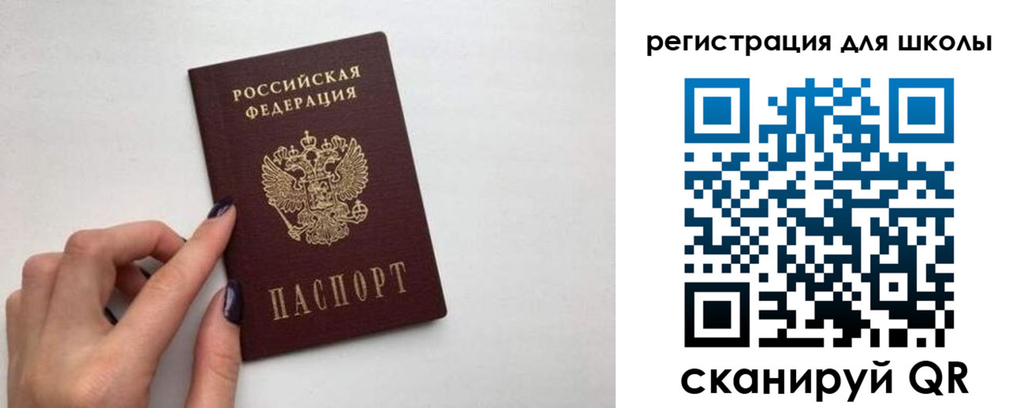 прописка поиск в Новгородской области